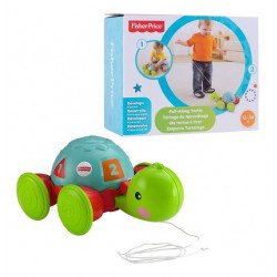 Brinquedo Empurra Tarataruga 12m+