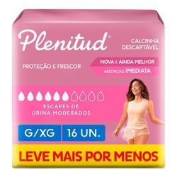 Roupa Íntima Plenitud Femme G/xg Leve Mais Por Menos 16un