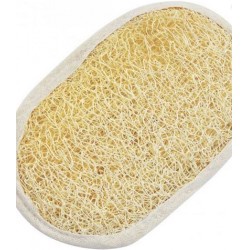 Bucha Vegetal Plasart Com ElÁstico
