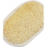 Bucha Vegetal Plasart Com ElÁstico