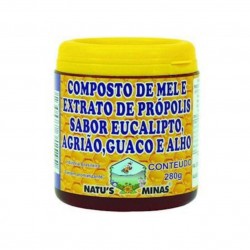 Composto De Mel/prop/euc/agr/gu/alho 280g