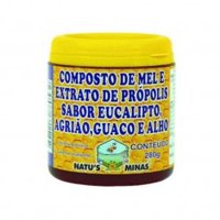 Composto De Mel/prop/euc/agr/gu/alho 280g