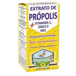 Extrato De Propolis+vit C+zinco Mel 280g