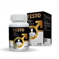 Testo Plus Vit+minerais 60cps Forhealth