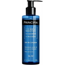 Gel De Limpeza Principia 11,5% Mix De Tensoativos + 10% Glicerina + 1% Pca SÓdio Gl-02 500g
