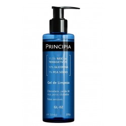 Gel De Limpeza Principia 11,5% Mix De Tensoativos + 10% Glicerina + 1% Pca SÓdio Gl-02 200g