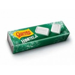 Pastilha Garoto HortelÃ 17g