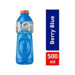 Gatorade Blueberry 500ml