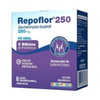 Repoflor 250mg 6 SachÊs