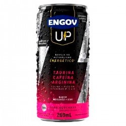 Engov Up Sabor Frutas Tropicais 269ml