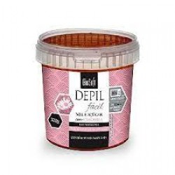 Cera DepilatÓria Soft Hair Mel E AÇÚcar 300g