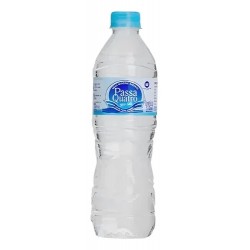 Água Mineral Passa Quatro Sem GÁs 510ml