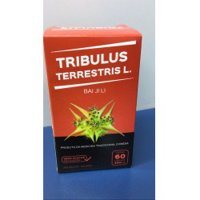 Tribulus Terrestris 60cps Forhealth