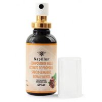 Composto Spray De Mel+prÓpolis+gengibre+romÃ+menta 30ml